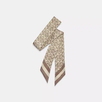 Coach Outlet Signature Print Silk Skinny Scarf In Sand