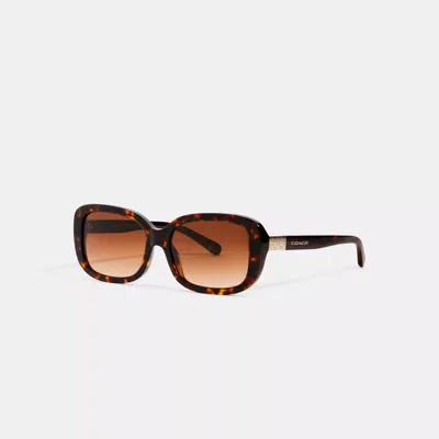 Coach Outlet Signature Rectangle Sunglasses In Brown