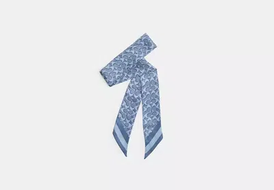 Coach Outlet Signature Silk Skinny Scarf In Blue