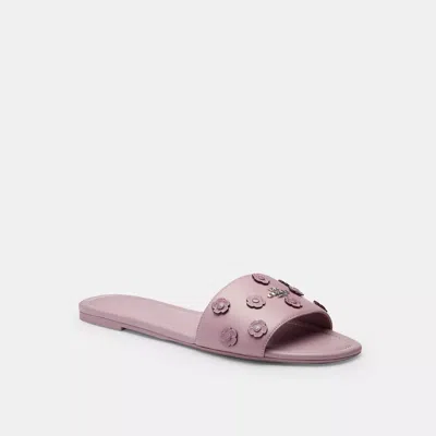 Coach Outlet Slide Sandal With Tea Rose In Blue