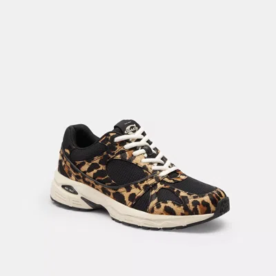 Coach Outlet Sport Sneaker With Leopard Print In Animal Print
