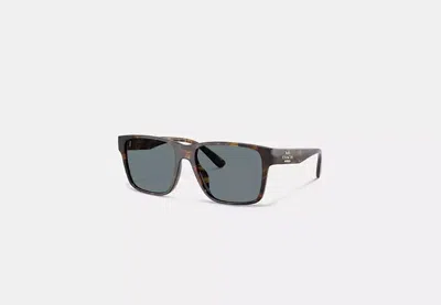 Coach Outlet Square Sunglasses In Brown