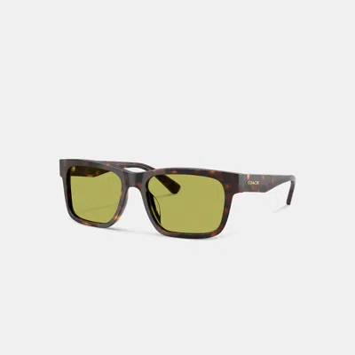 Coach Outlet Square Sunglasses In Dark Tortoise