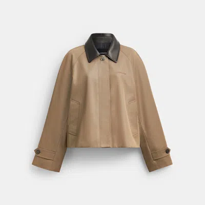 Coach Outlet Swing Trench Coat With Leather Collar In Mud
