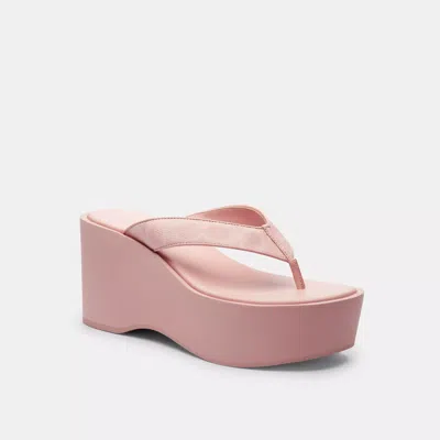 Coach Outlet Thong Wedge Sandal In Signature Canvas In Pink