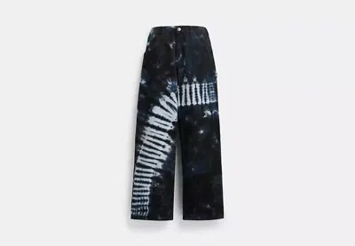 Coach Outlet Tie Dye Painter Pants In Organic Cotton In Blue