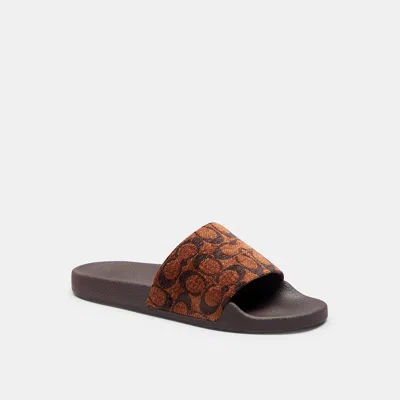 Coach Outlet Udele Sport Slide In Truffle