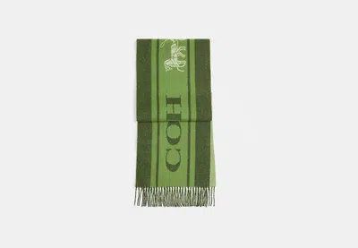 Coach Outlet Varsity Sport Cashmere Muffler In Green