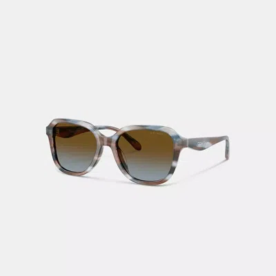 Coach Oval Square Sunglasses In Blue
