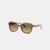 Coach Oval Square Sunglasses In Brown