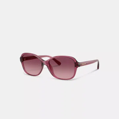 Coach Oversized Oval Sunglasses