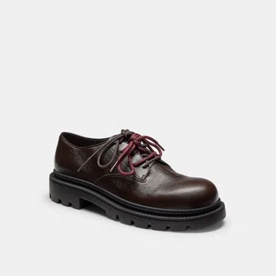 Coach Oxford Derby In Animal Print