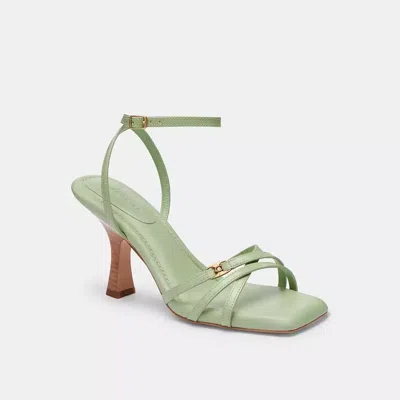 Coach In Pale Pistachio