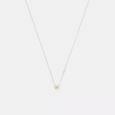 Coach In Gold/silver