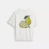 Coach Pear Relaxed T-shirt In Organic Cotton