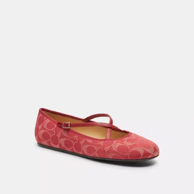 Coach Phoebe Ballet Flat In Signature Denim In Animal Print