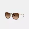 Coach Pillow Tabby Cat Eye Sunglasses In Brown Gradient
