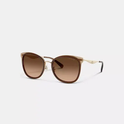 Coach Pillow Tabby Cat Eye Sunglasses In Brown Gradient