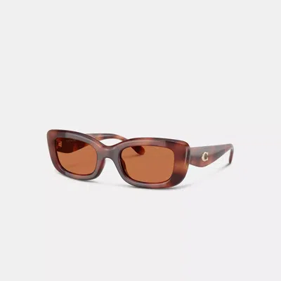 Coach Pillow Tabby Narrow Rectangle Sunglasses In Dark Tortoise
