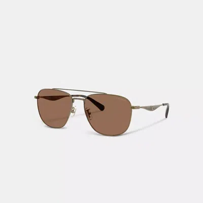 Coach Pillow Tabby Pilot Sunglasses In Gold/brown