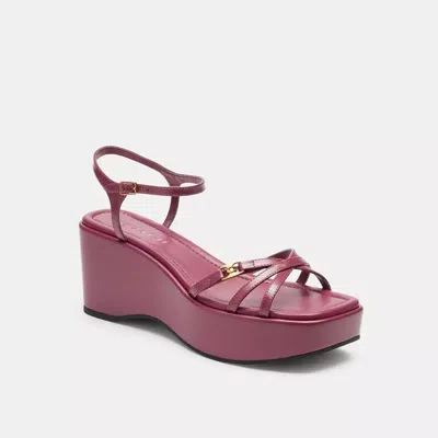 Coach In Pink