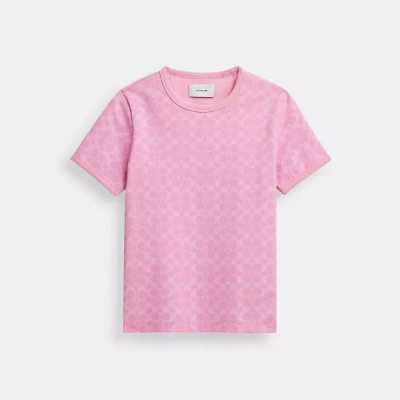 Coach Signature Ringer T Shirt In Organic Cotton In Pink Signature
