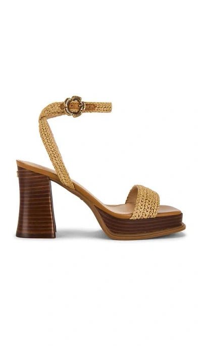 Coach Tea Rose Platform Sandal In Brown