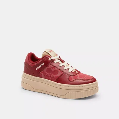 Coach Platform Sneaker In Signature Denim In Multi