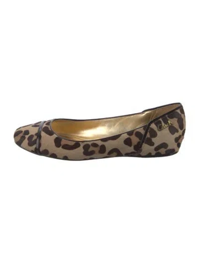 Pre-owned Coach Ponyhair Animal Print Ballet Flats In Brown