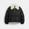 Coach Puffer With Shearling Collar In Black
