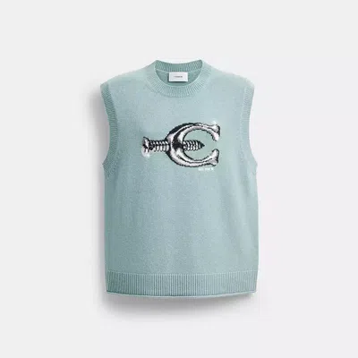 Coach Pulloverweste Mit Rundhalsausschnitt Und Schraubenprint In Blue