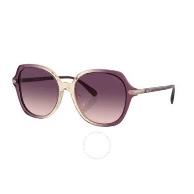 Coach Purple Gradient Oversized Sunglasses Hc8377u 57737w 55