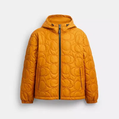 Coach Quilted Signature Puffer Jacket In Recycled Polyester In Yellow