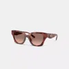 Coach Quilted Square Sunglasses In Tortoise Brown