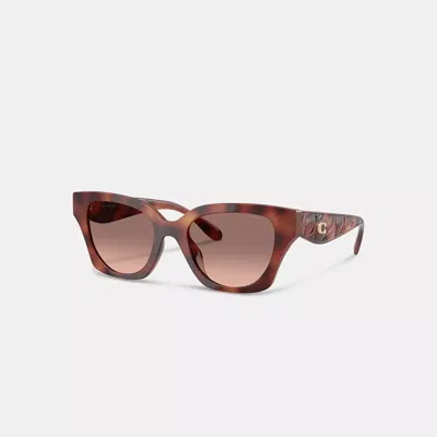 Coach Quilted Square Sunglasses In Brown