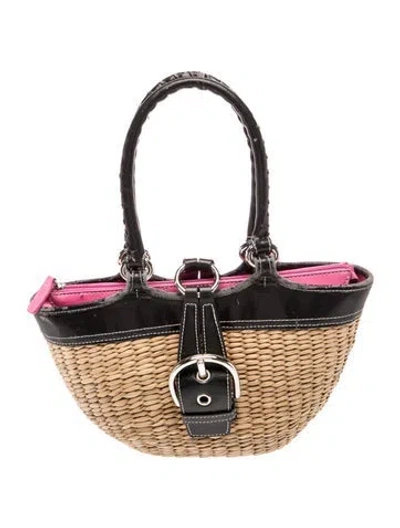 Pre-owned Coach Raffia Bucket Bag In Neutrals