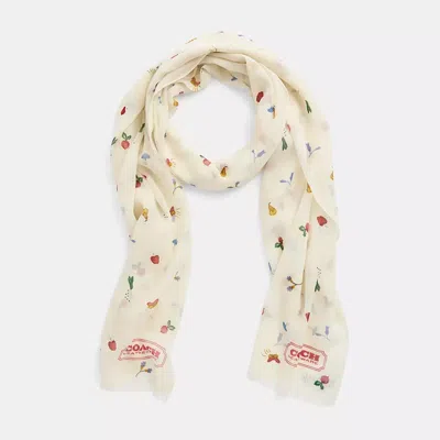 Coach Restored Garden Print Silk Oblong Scarf