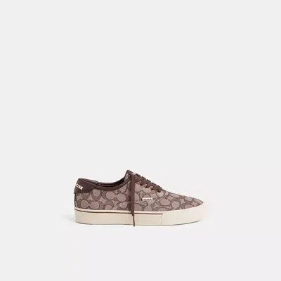 Coach Restored Skate Lace Up Sneaker In Signature Jacquard In Brown