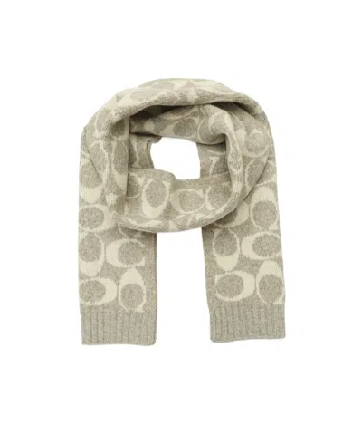 Coach Ribbed Scarf In Green
