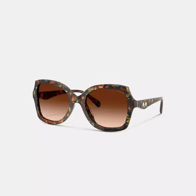 Coach Rivet Geometric Square Sunglasses