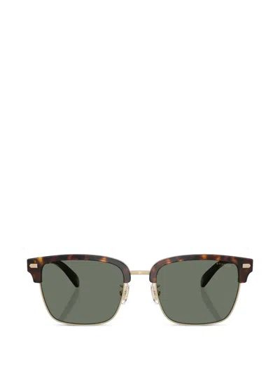 Coach Rivet Retro 方框太阳眼镜 In Brown