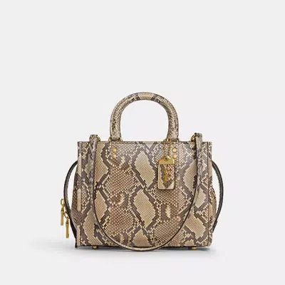 Coach Rogue Bag 25 In Snakeskin In Brown