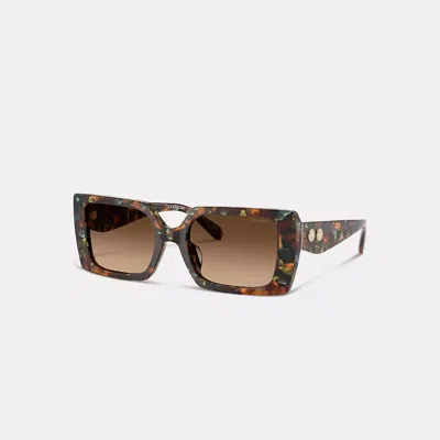 Coach Rogue Oversized Square Sunglasses In Brown Gradient