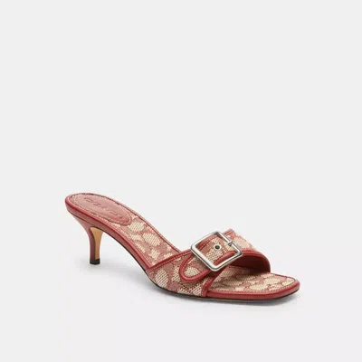 Coach In Ruby