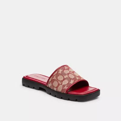 Coach In Ruby