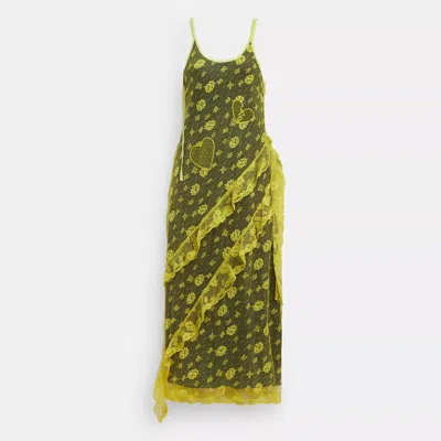Coach Ruffle Lace Dress In Yellow