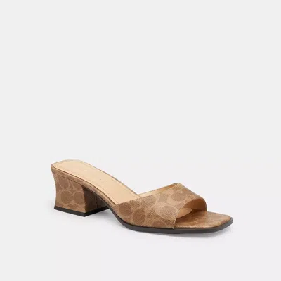 Coach Sculpted C Block Heel Sandal In Signature Canvas