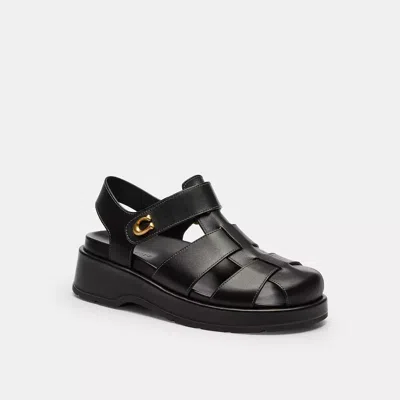 Coach Sculpted C Fisherman Sandal In Black