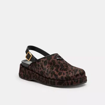 Coach Sculpted C Platform Clog With Leopard Print In Brown