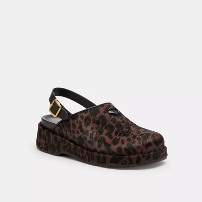 Coach Sculpted C Platform Clog With Leopard Print In Multi